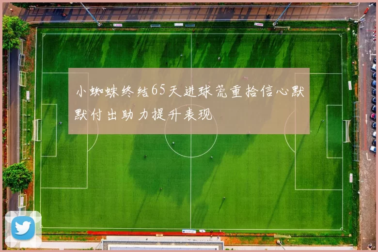 小蜘蛛终结65天进球荒重拾信心默默付出助力提升表现